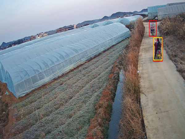 農業大棚安裝視頻監控
