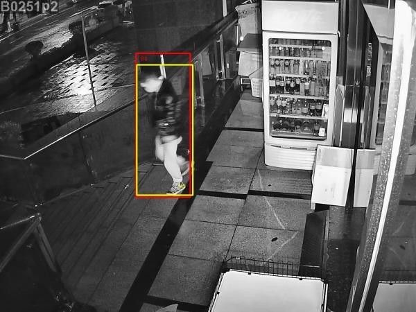 傳統視頻監控系統和智能視頻監控系統主要有哪些區別？