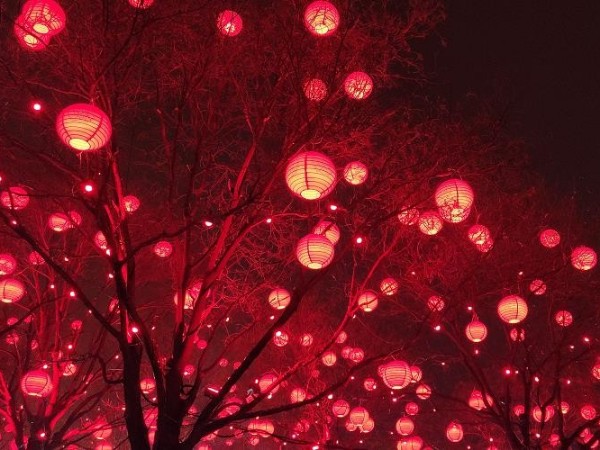 陜西鑫安安防祝您和家人：元宵節快樂，月圓人圓家更圓