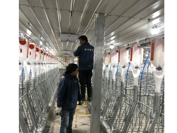 養(yǎng)豬場(chǎng)視頻監(jiān)控系統(tǒng)安裝，從布線到安裝需要的就是嚴(yán)謹(jǐn)