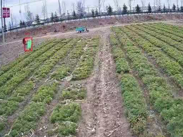 樹苗基地安防監控系統怎么樣才安全？來看這里！